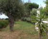 Casa Elide, casa vacanze vicino Tropea – foto 44