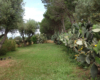 Casa Elide, casa vacanze vicino Tropea – foto 37