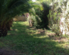 Casa Elide, casa vacanze vicino Tropea – foto 39
