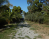 Casa Elide, casa vacanze vicino Tropea – foto 29