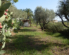 Casa Elide, casa vacanze vicino Tropea – foto 27