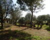 Casa Elide, casa vacanze vicino Tropea – foto 26